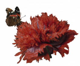 the art of being human