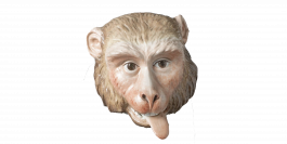 the art of being human