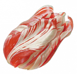 the art of being human